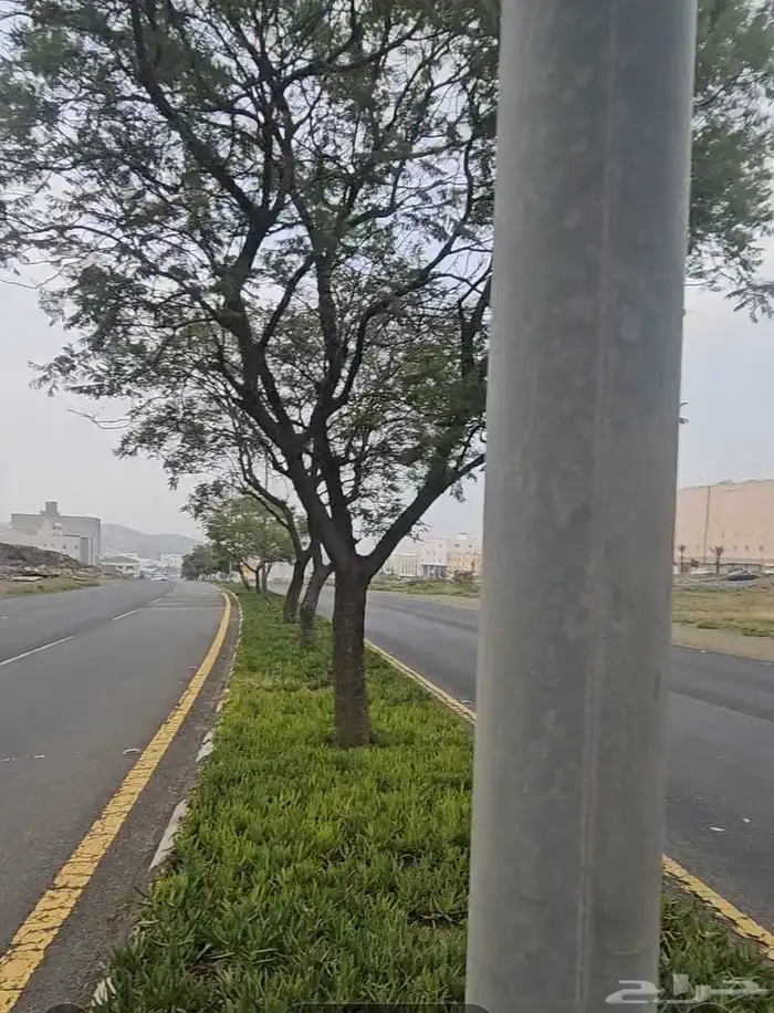 ارض تجاريه ابها 2