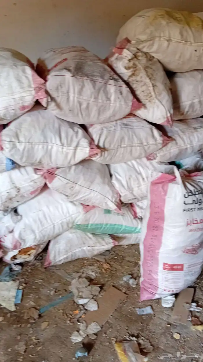 ينبع البحر 1