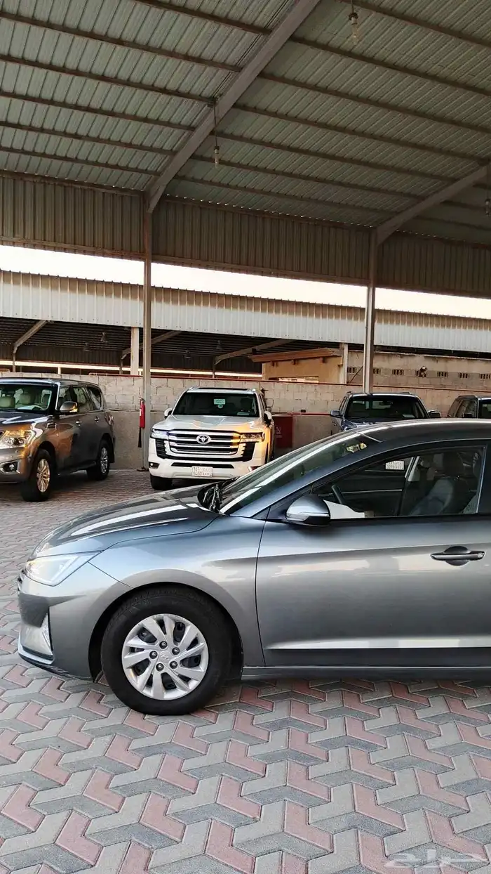 النترا ديزل 2019 13