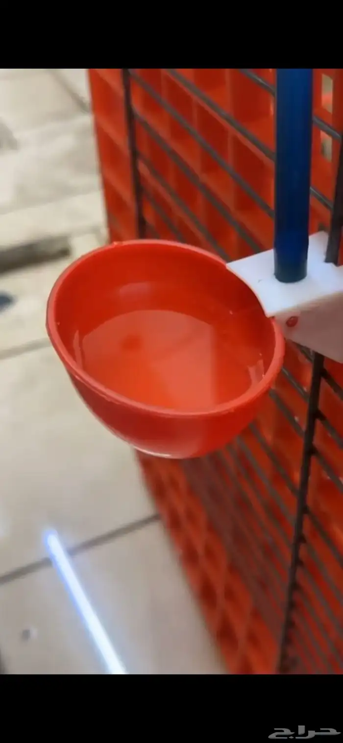 اقفاص نقل دجاج وسقايات محكر اسعار جملة الجملة 0