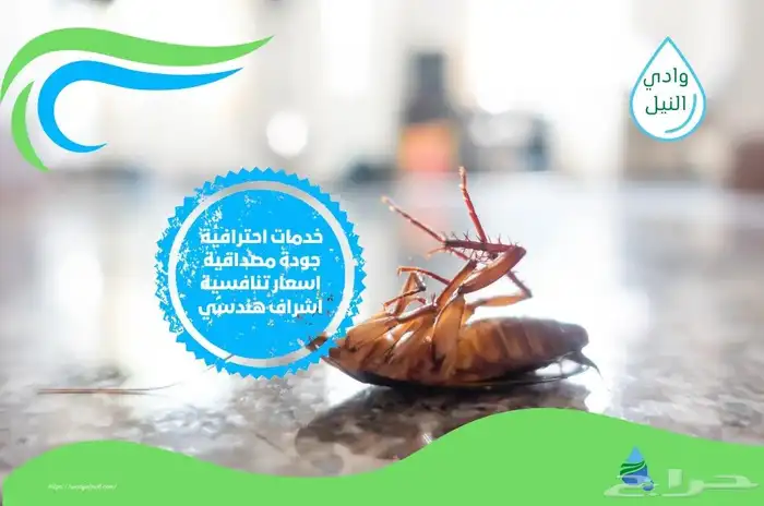 شركة مكافحة حشرات رش مبيدات الصراصير بالمدينة المنورة 0