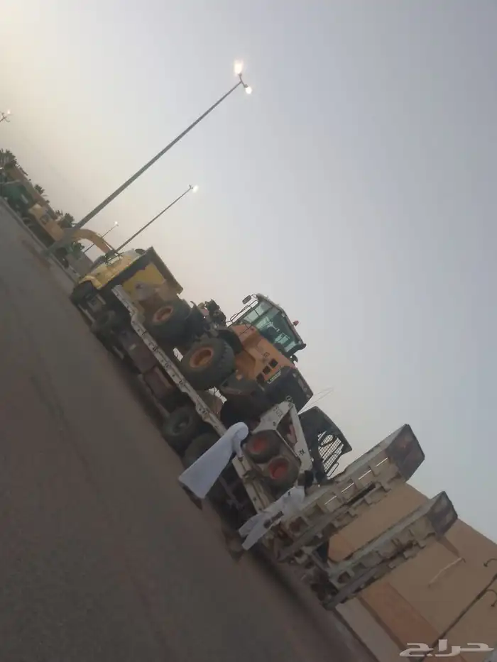 لوبد متواجد في المجمعه 0