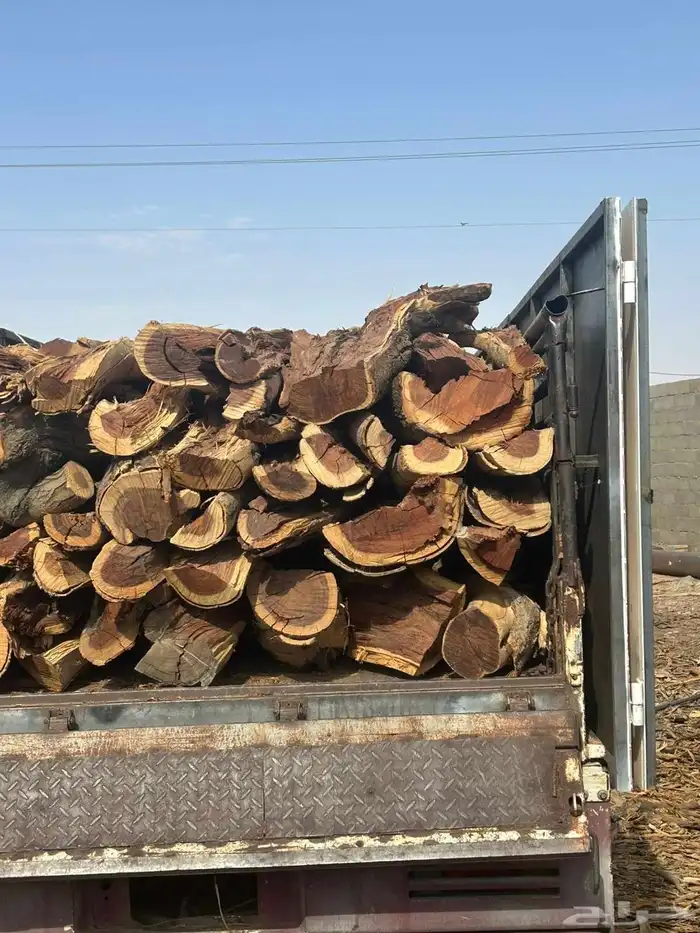 ح. ط. ب سمر مبروم شلايخ ارطى 2
