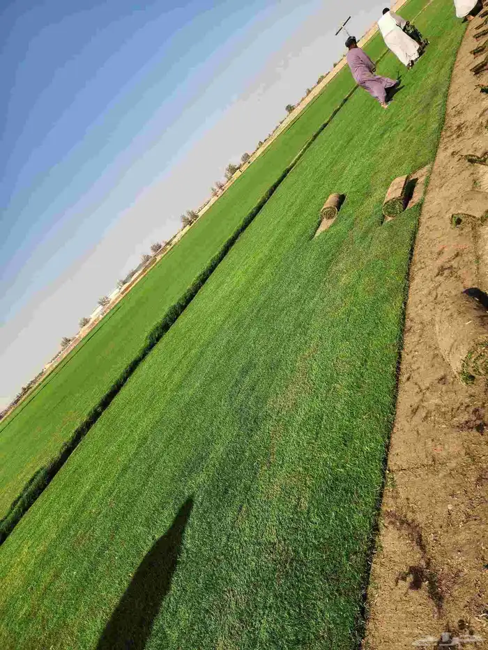 ثيل سي2000 درجة اولى 6