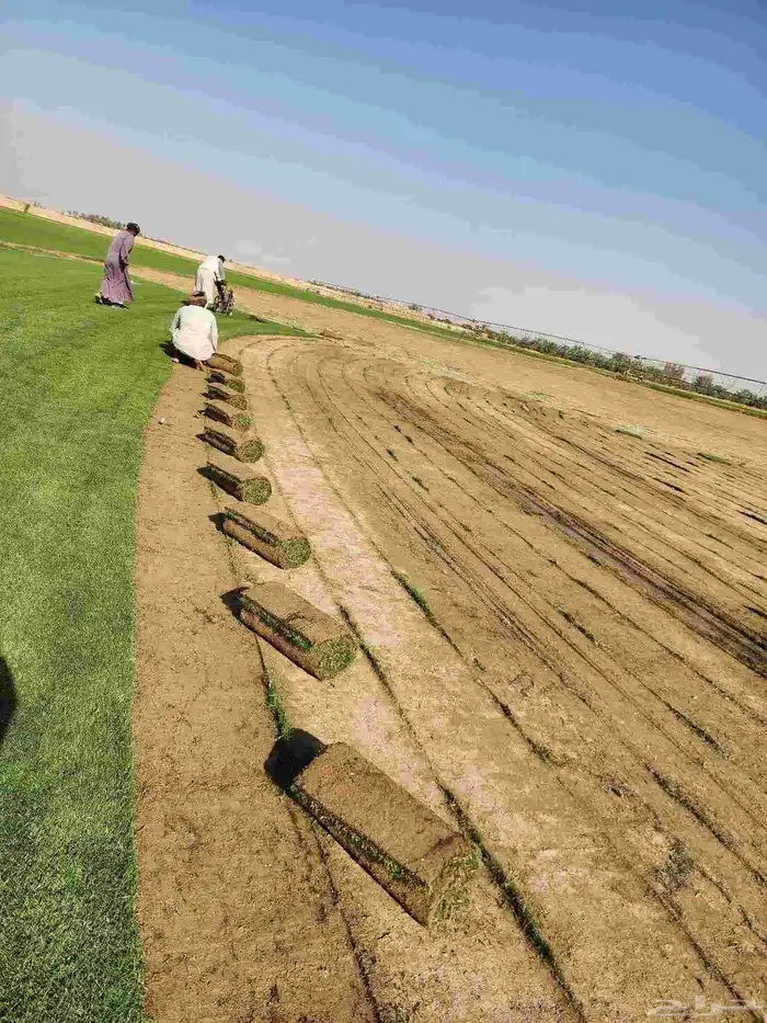 ثيل سي2000 درجة اولى 7