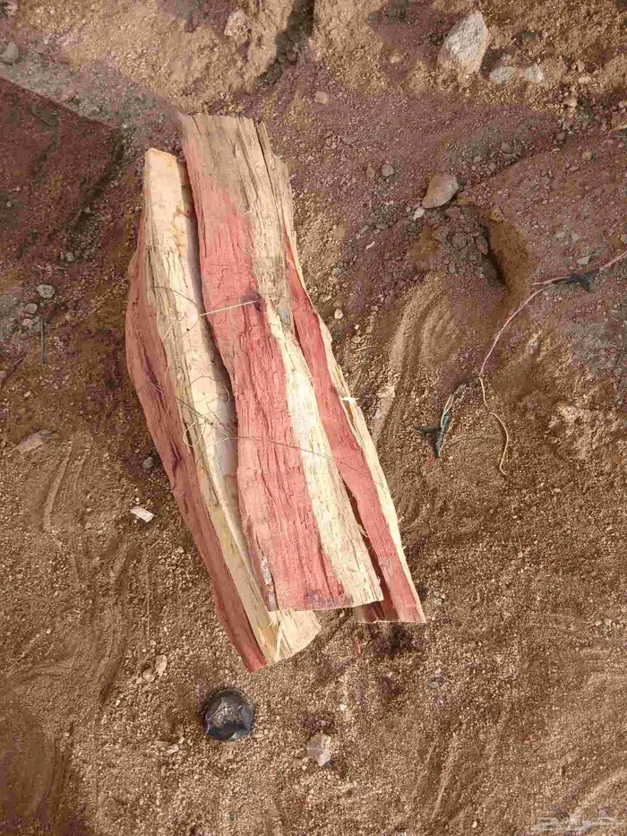 مستورد بلدي 50 ربطه 2