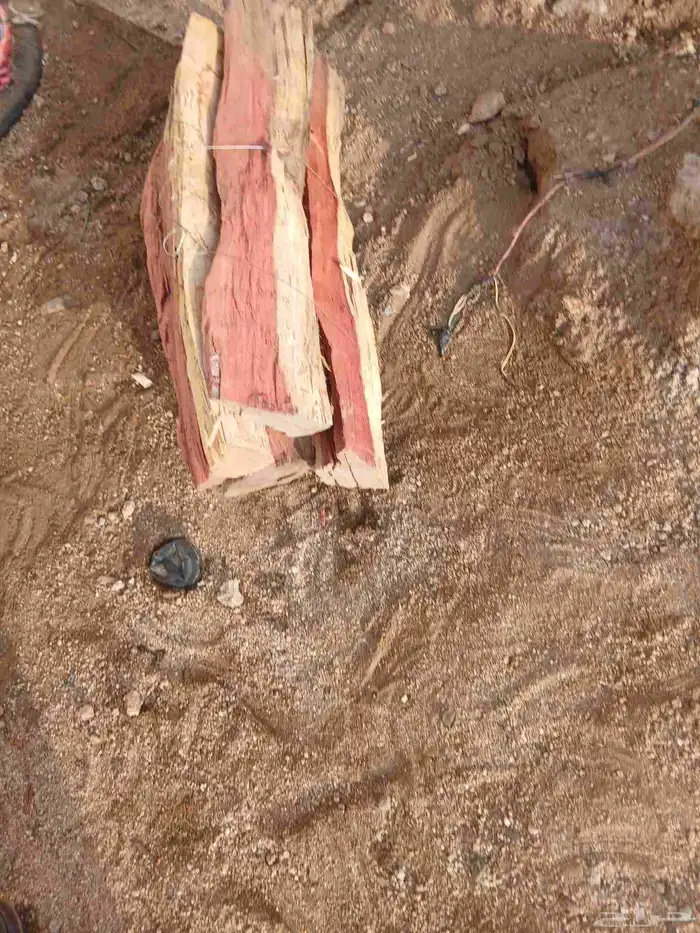 مستورد بلدي 50 ربطه 0