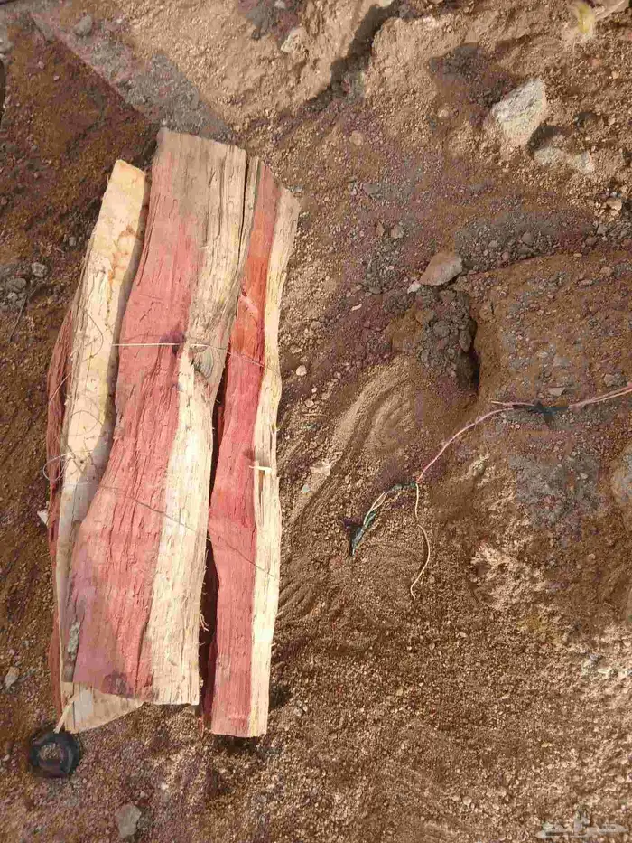 مستورد بلدي 50 ربطه 1