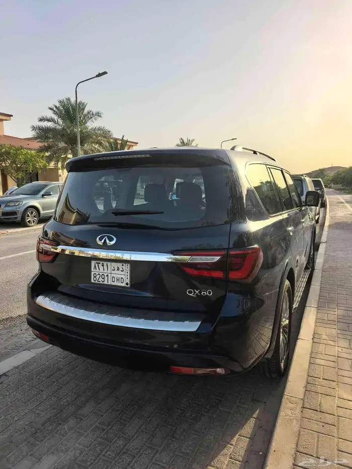 انفينيتي QX 80 5