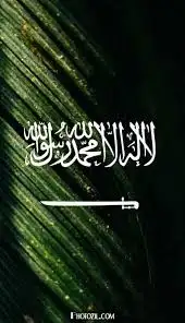 معلم تأسيس ومرحلة ابتدائية تابع لوزارة التربية والتعليم 0
