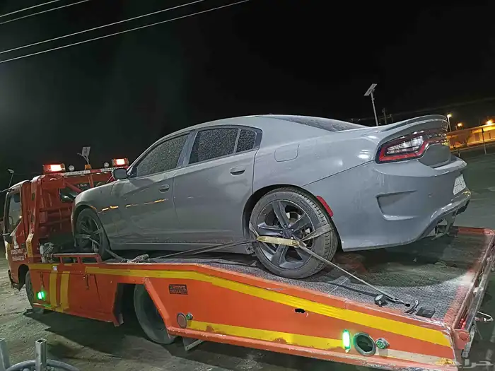 سطح  العلا 0
