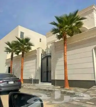 نخل للبيع جثايث فسايل صقعي وخلاص مجدول نخيل سري دخيني سلاطين 3