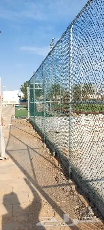 قلع وتوريد النخيل 0