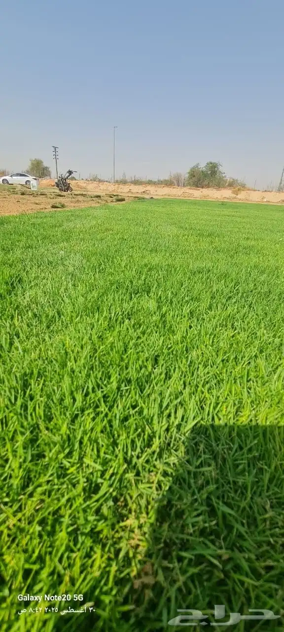 ثيل سي2000 درجة اولى 4