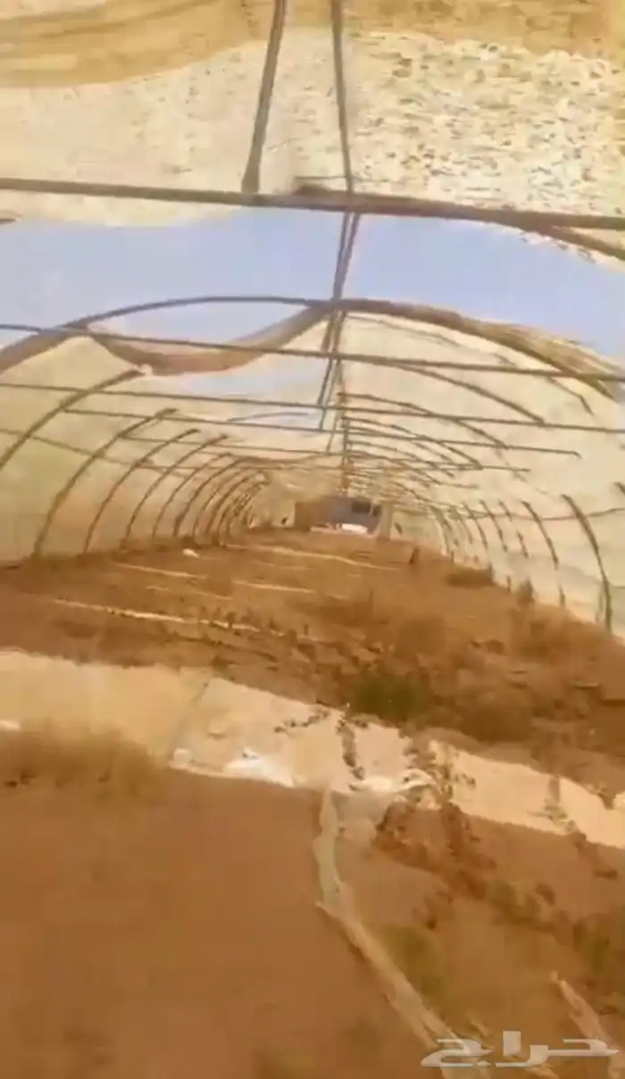 بيوت محميه وطني للبيع  بيوت_محميه 4