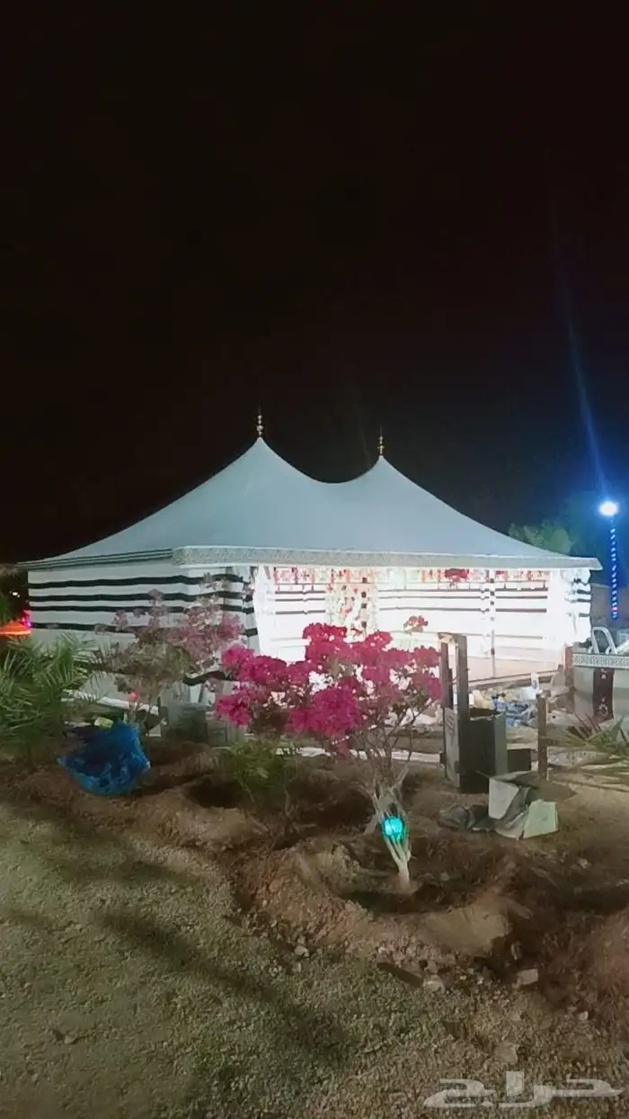 بيوت شعر الصقور 7