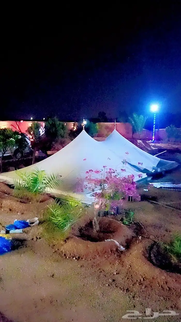 بيوت شعر الصقور 5