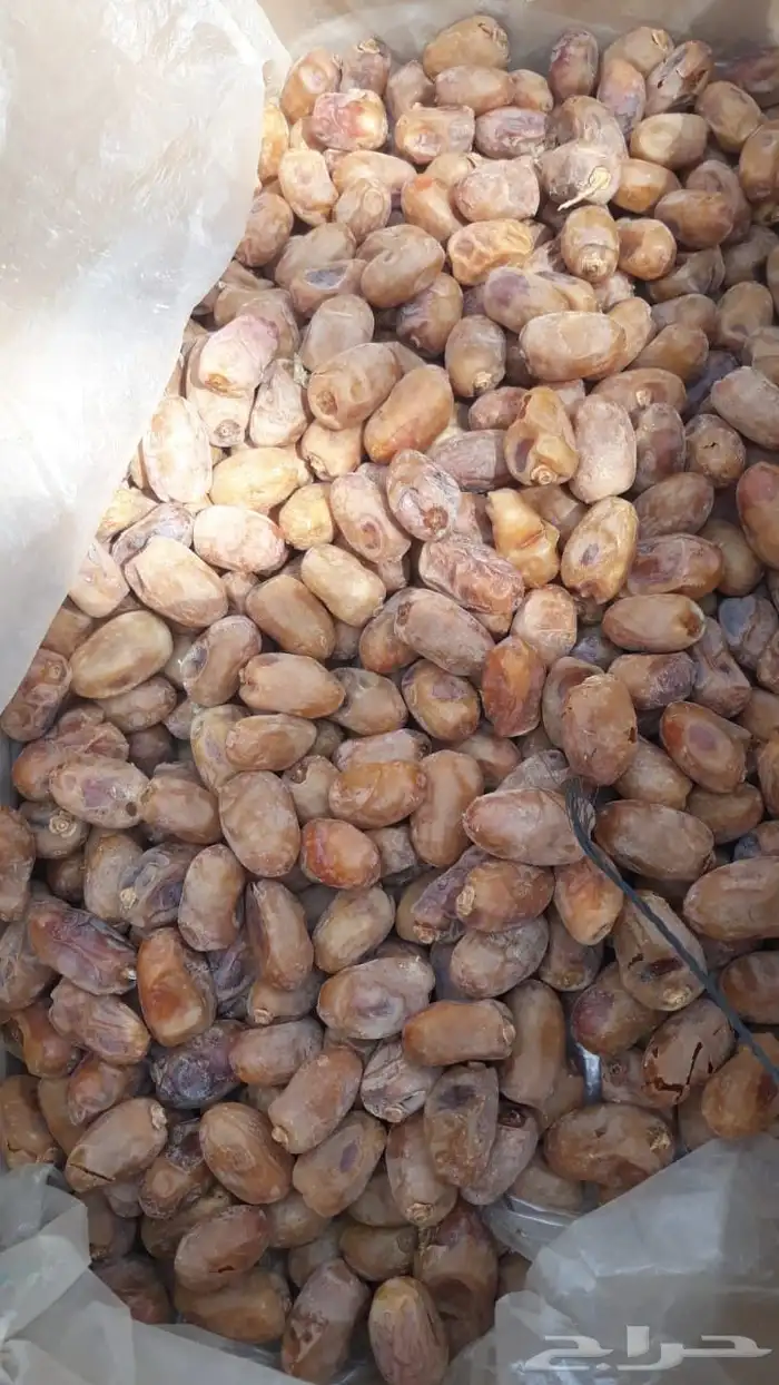 خلاص الخرج هاذي السنه 120 كرتون حبه وسط 0