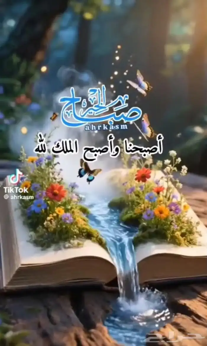 معلم رياضيات وتحفيظ قرآن كريم 0