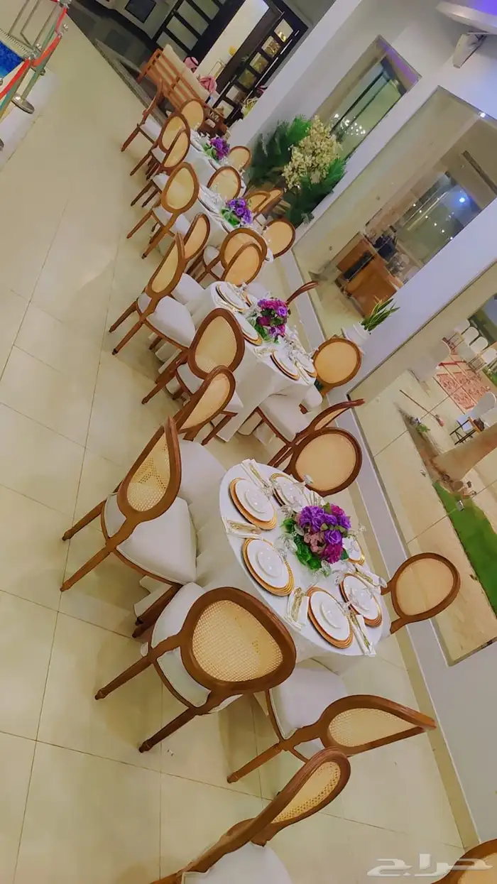 إيجار كراسي وطاولات 1