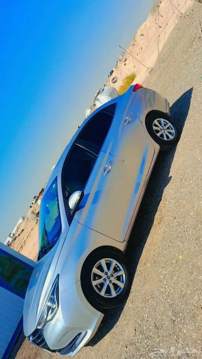 شانجان للبيع 3