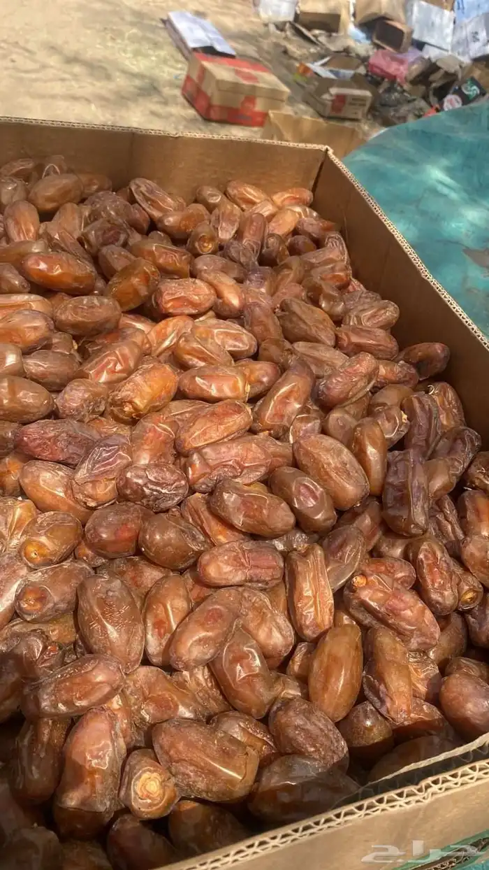 متوفر جميع انواع التمور خضري  اخلاص  سري  صقعي مجدول  مشكلا 1