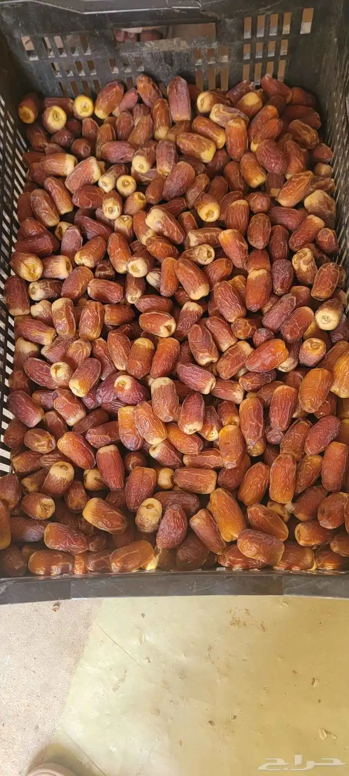 متوفر جميع انواع التمور خضري  اخلاص  سري  صقعي مجدول  مشكلا 6