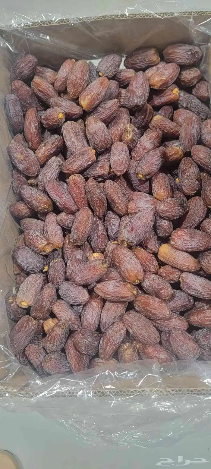 متوفر جميع انواع التمور خضري  اخلاص  سري  صقعي مجدول  مشكلا 8