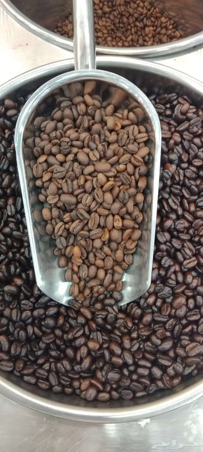 وصل لدينا قهوه تركي وكولومبي. وسط وغامق وفاتح كميات كبيره 0