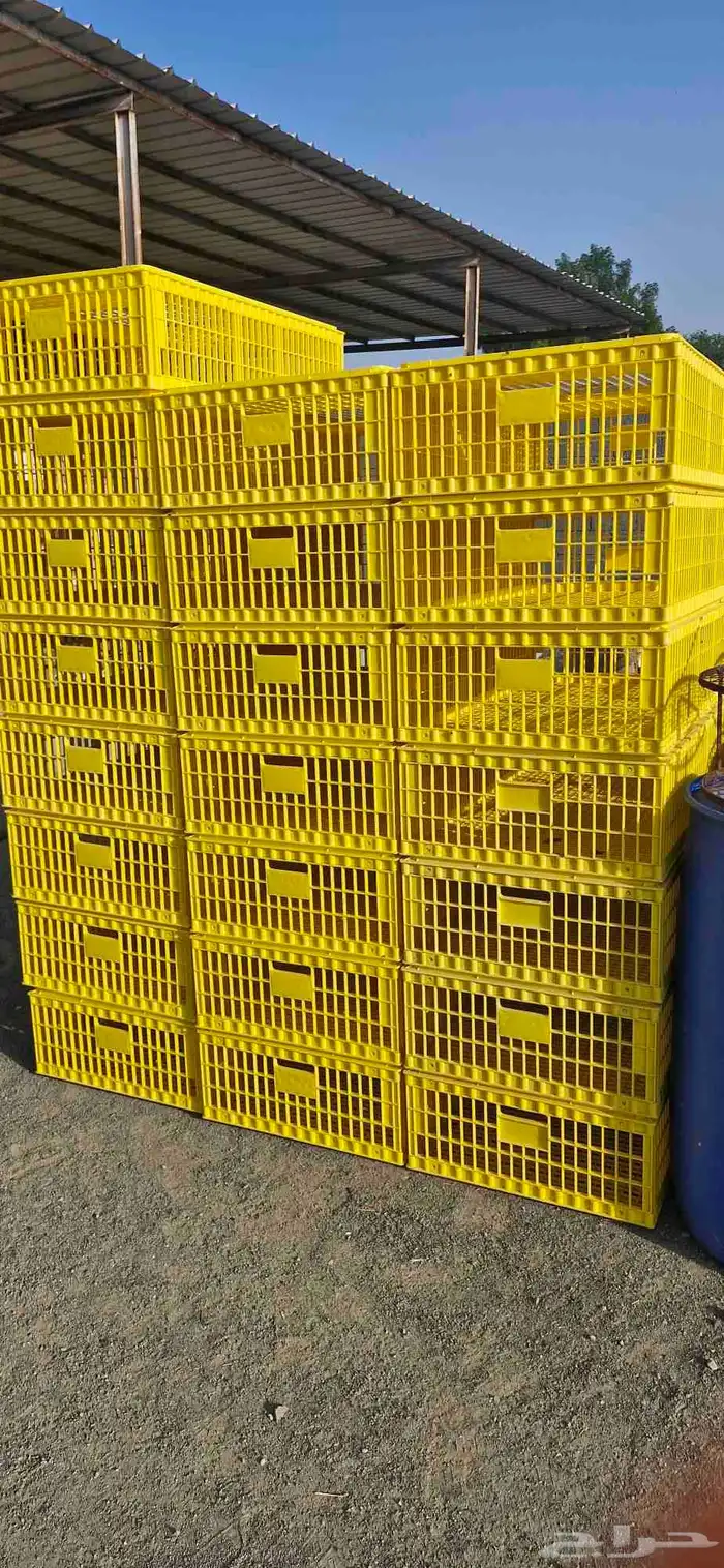 اقفاص نقل دجاج وسقايات محكر اسعار جملة الجملة 10