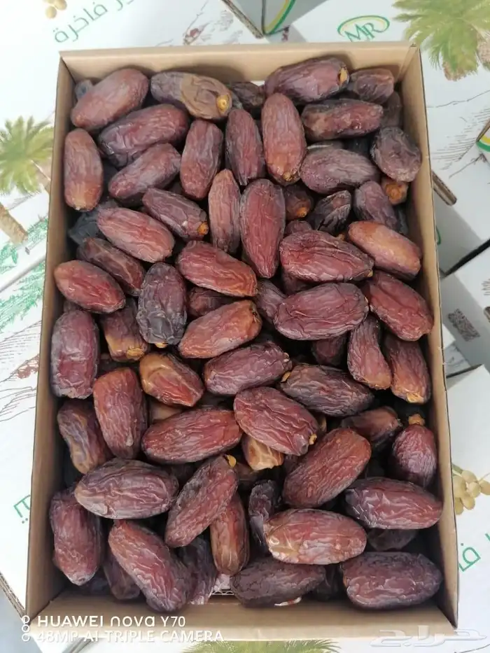 متوفر جميع انواع التمور خضري  اخلاص  سري  صقعي مجدول  مشكلا 7
