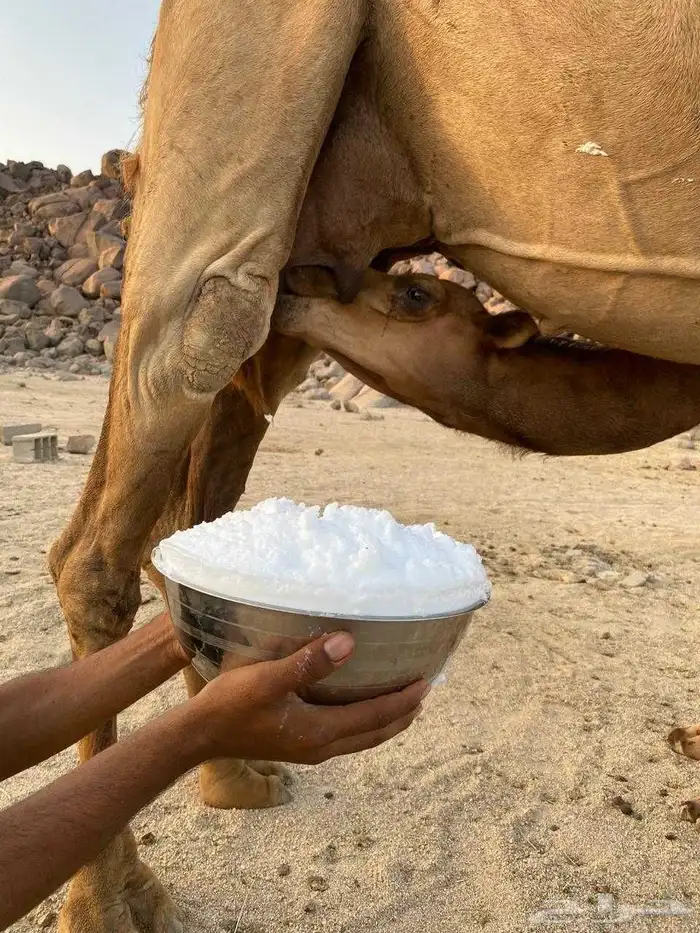 سلام عليكم ورحمة الله وبركاته 2