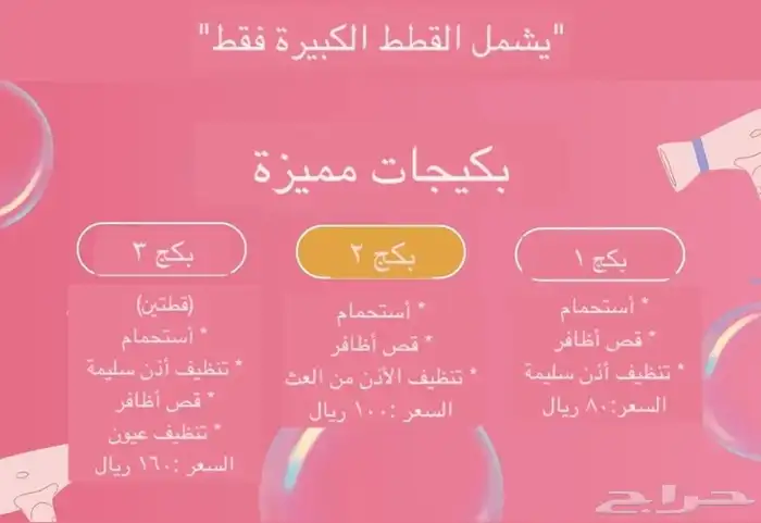 فندقة بسبوس بحفر الباطن للقطط 2