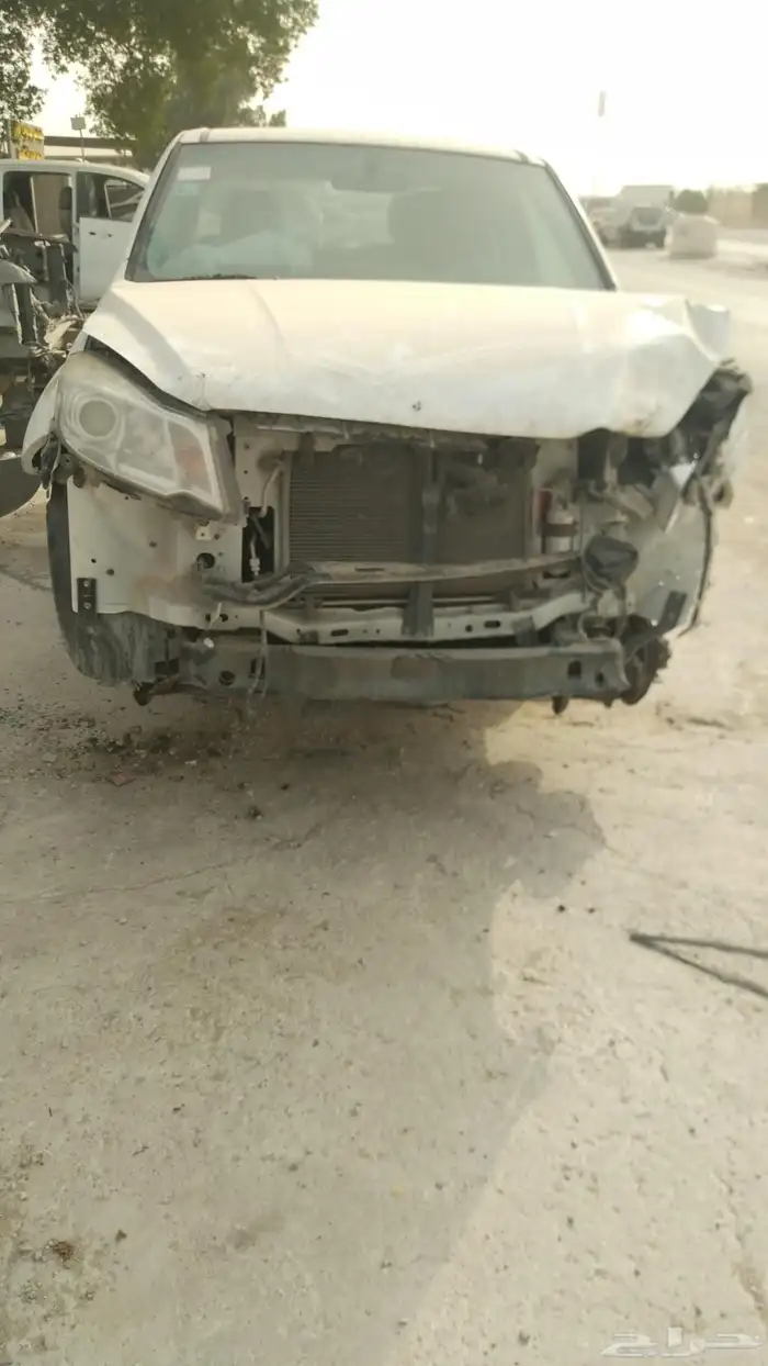 جريت وول ونجل 6 2017 0