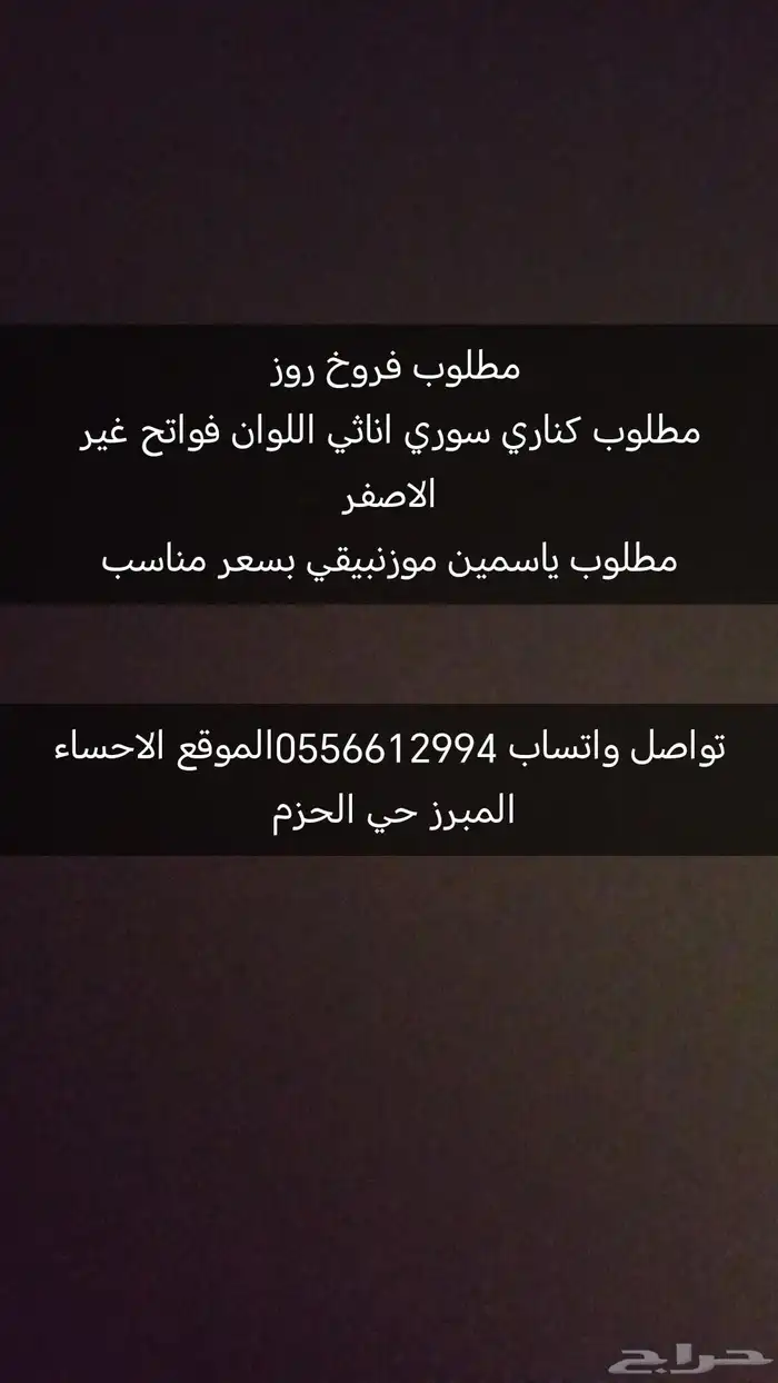 مطلوب طيور تواصل واتساب 0