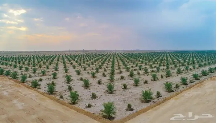 حفر وحفريات بوكلين بكلينات 0