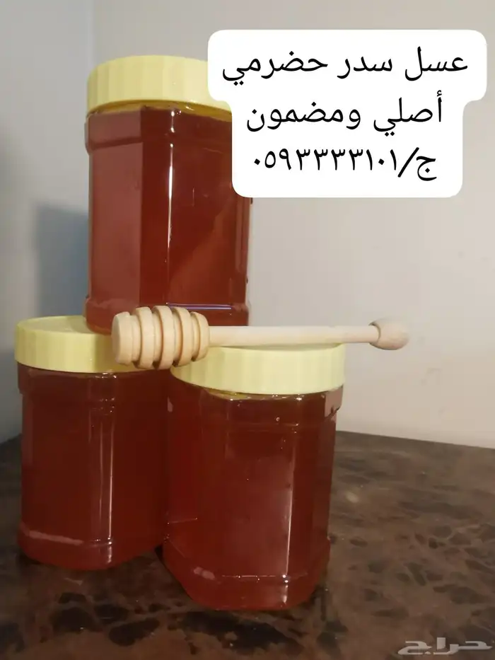 عسل سدر حضرمي 1