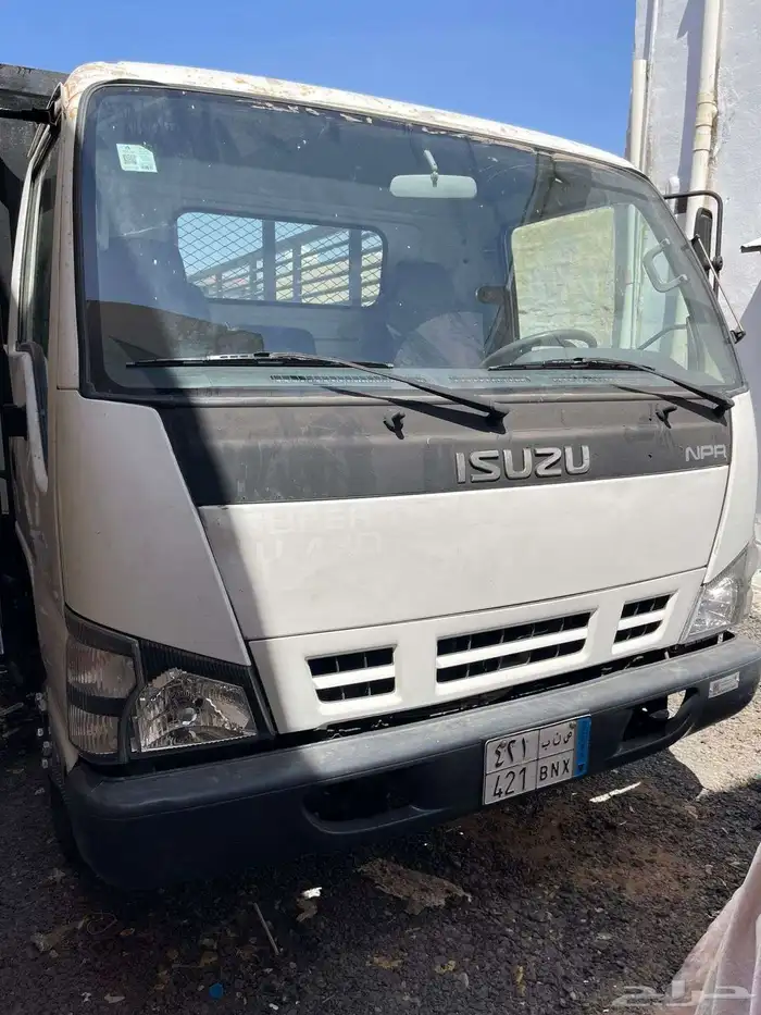 دينا ايسوزو 5