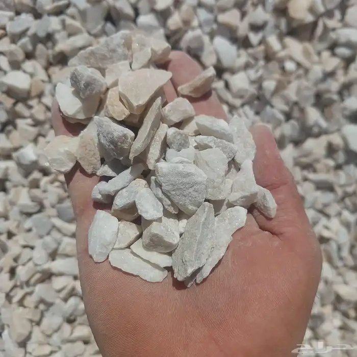 ابحر الشماليه 4