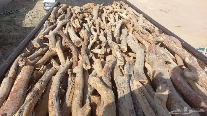 الخراج الرياض 2