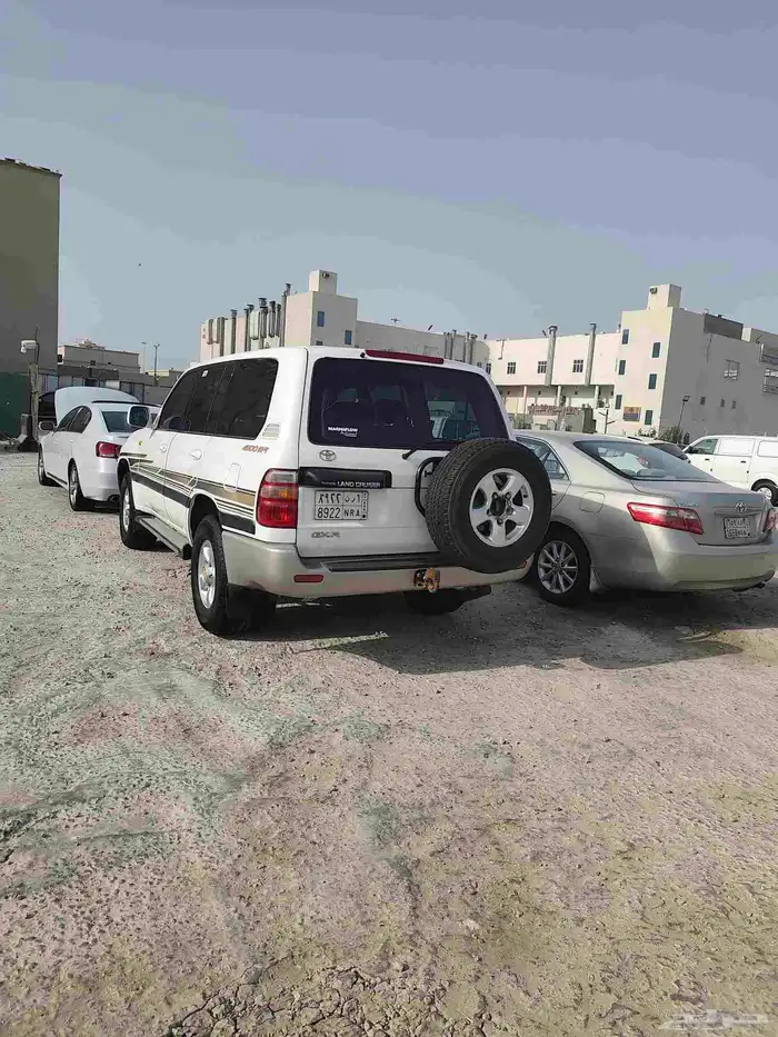 القطيف 2