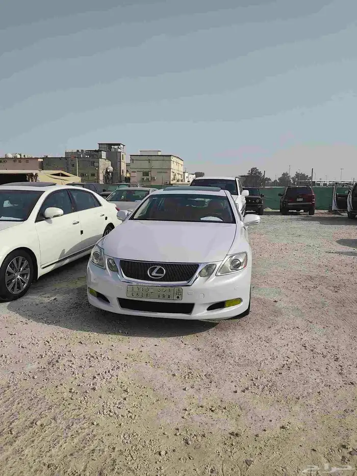 القطيف 6