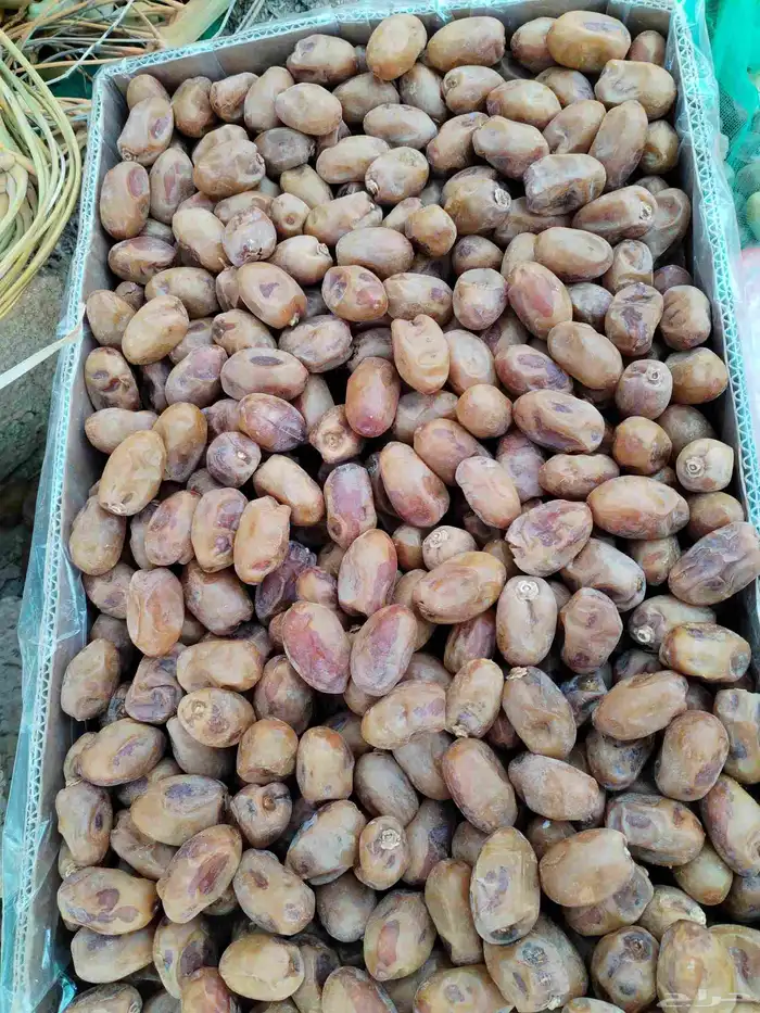 خلاص فاخر 3