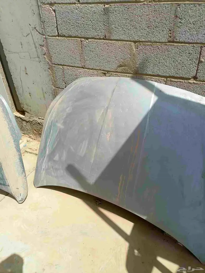 كبوت النترا 2019-2020 1