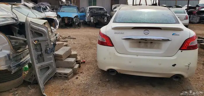 تشليح مكسيما 2010نيسان 1