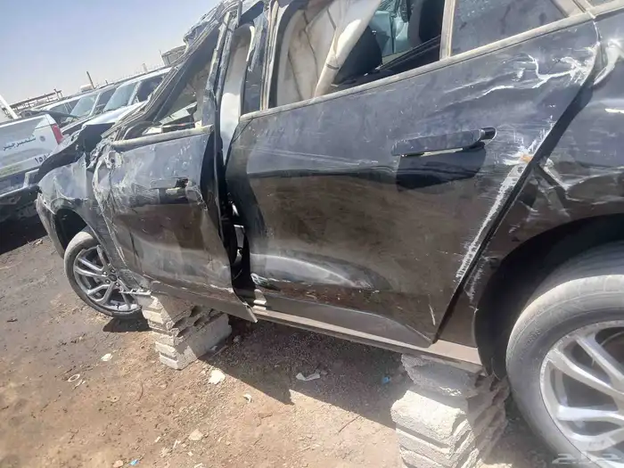 فور توريس 2024 3