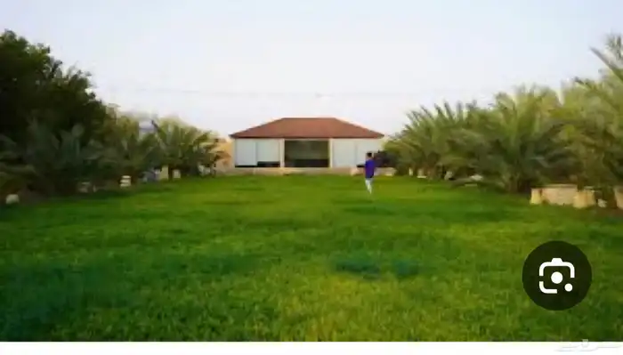 اللي عنده مزرعة ومو متفرغ انا اشتغل بالشراكة 0