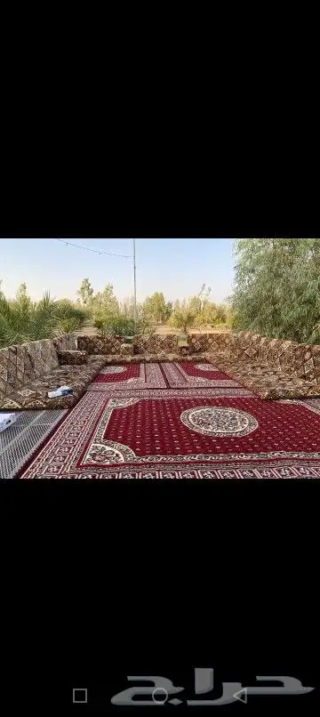 مزرعه صيد للإيجار من تاريخ 6 سبتمر فاضيه 0
