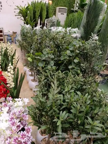 مشتل تنسيق حدائق 2