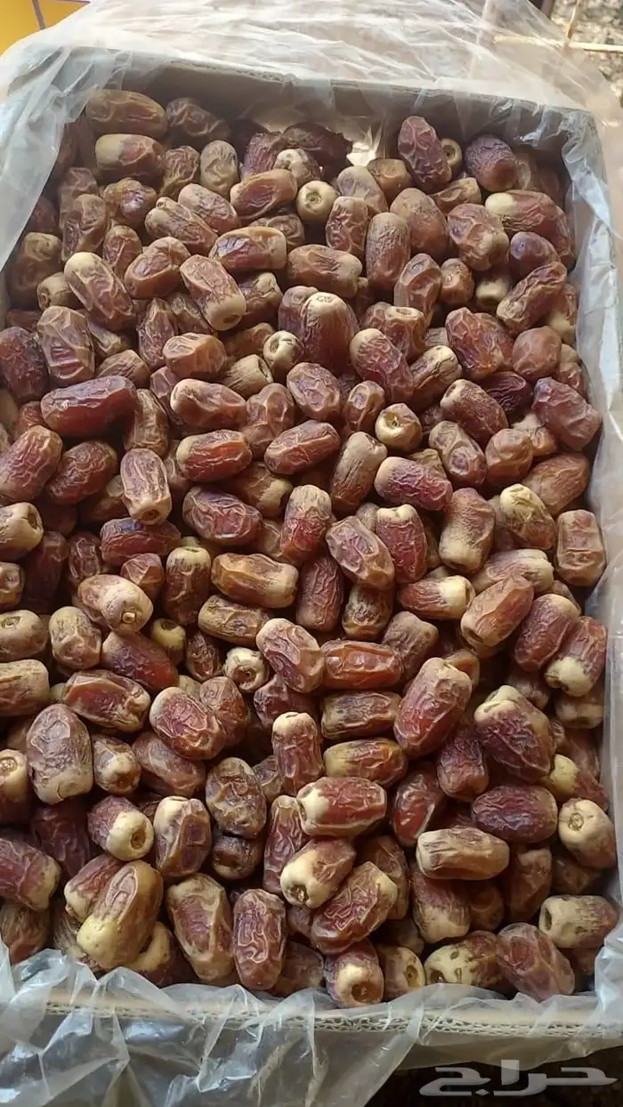 يوجد صقعي خام 2